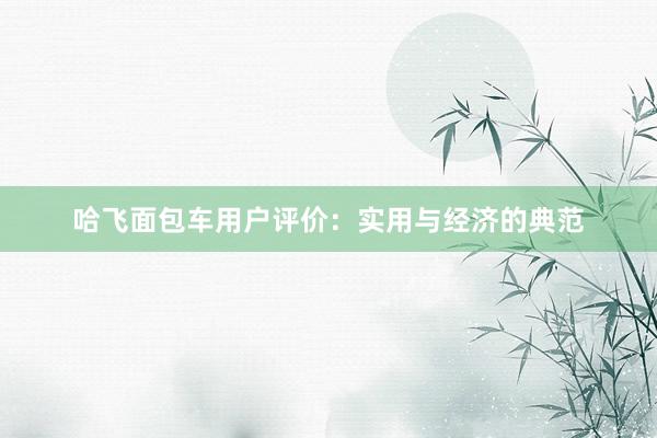 哈飞面包车用户评价：实用与经济的典范