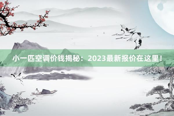 小一匹空调价钱揭秘：2023最新报价在这里！